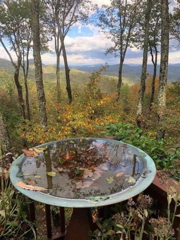772 Double Knob Road, Ellijay, GA 30540