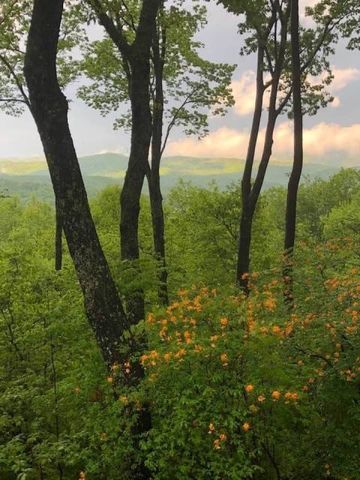 772 Double Knob Road, Ellijay, GA 30540