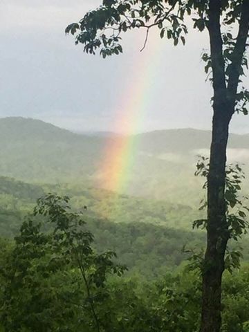 772 Double Knob Road, Ellijay, GA 30540