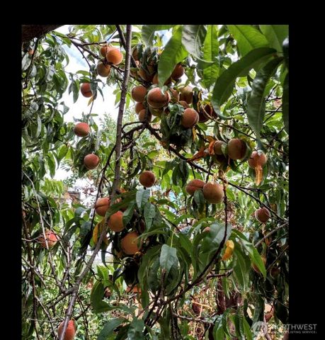 6121 Madrona Drive NE, Tacoma, WA 98422