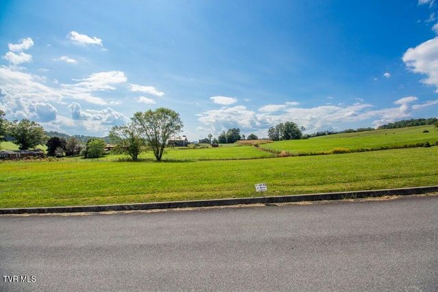 Lot 43 Walnut Grove Drive, Church Hill, TN 37642