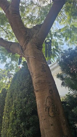 1616 Michigan Ave 11, Miami Beach, FL 33139