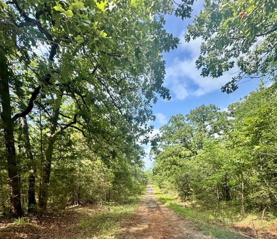 lot 2111 Butch Cassidy Drive, Log Cabin, TX 75148