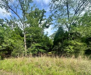 lot 2111 Butch Cassidy Drive, Log Cabin, TX 75148
