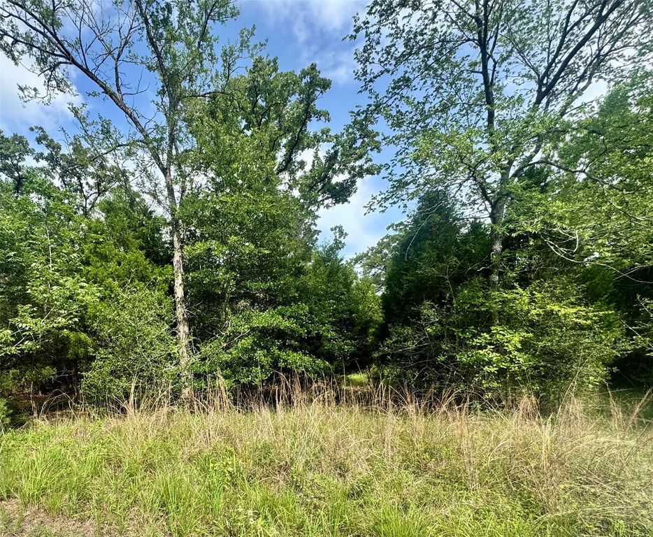 lot 2111 Butch Cassidy Drive, Log Cabin, TX 75148