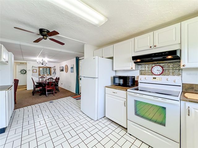 30041 WAUSAUKEE DRIVE, Tavares, FL 32778