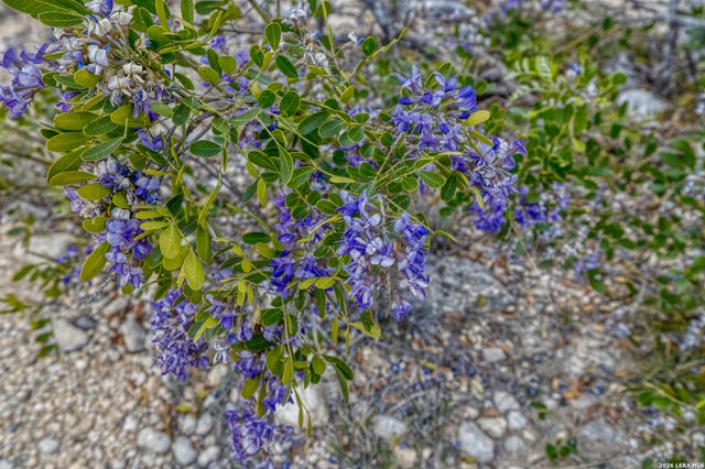 9600 Ranch Road 336, Leakey, TX 78873