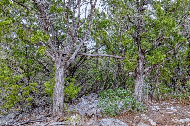 9600 Ranch Road 336, Leakey, TX 78873