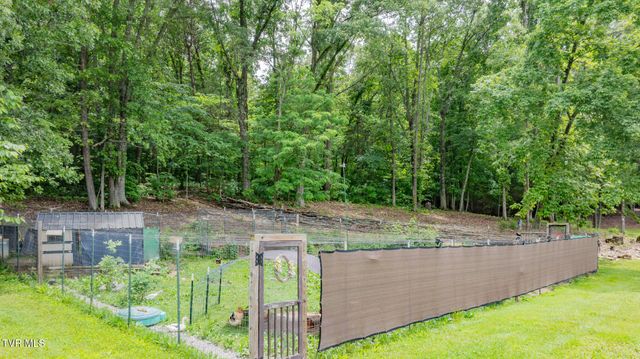 4180 Kingsport Highway, Afton, TN 37616