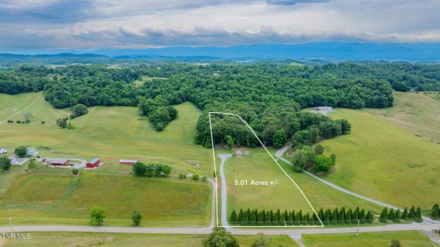4180 Kingsport Highway, Afton, TN 37616