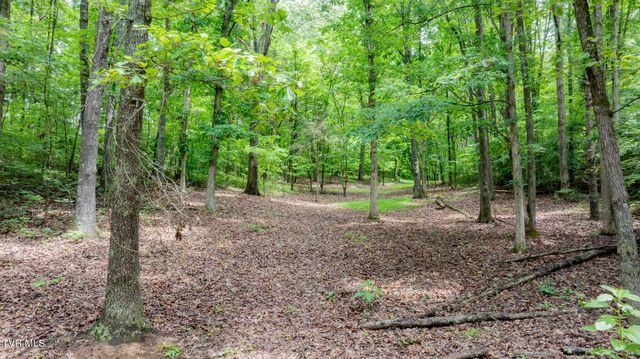 4180 Kingsport Highway, Afton, TN 37616