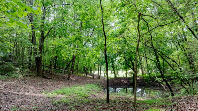 4180 Kingsport Highway, Afton, TN 37616