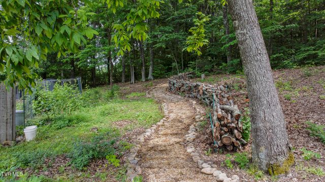 4180 Kingsport Highway, Afton, TN 37616