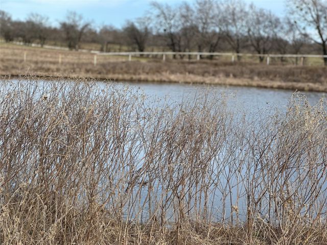 TBD Cr 215, Coolidge, TX 76635