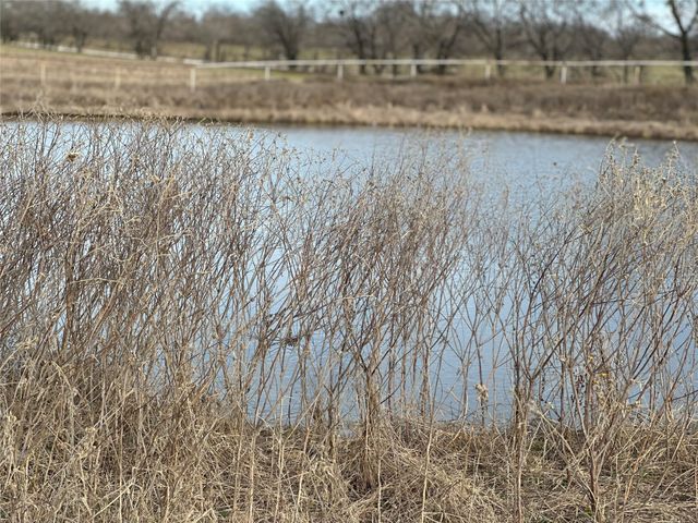 TBD Cr 215, Coolidge, TX 76635
