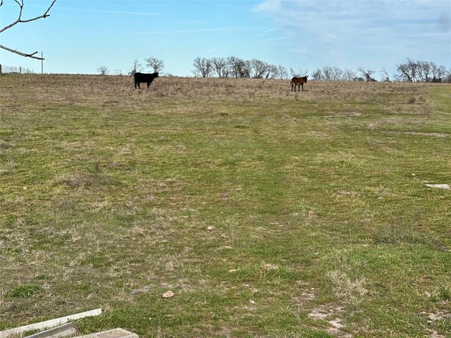 TBD Cr 215, Coolidge, TX 76635