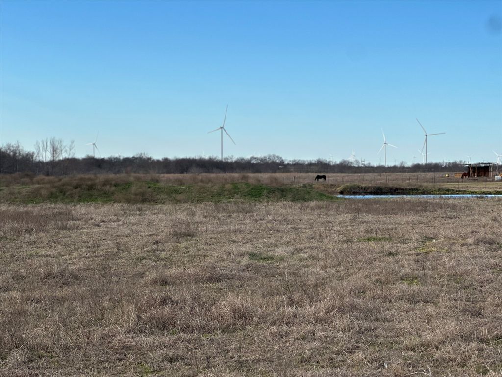 TBD Cr 215, Coolidge, TX 76635