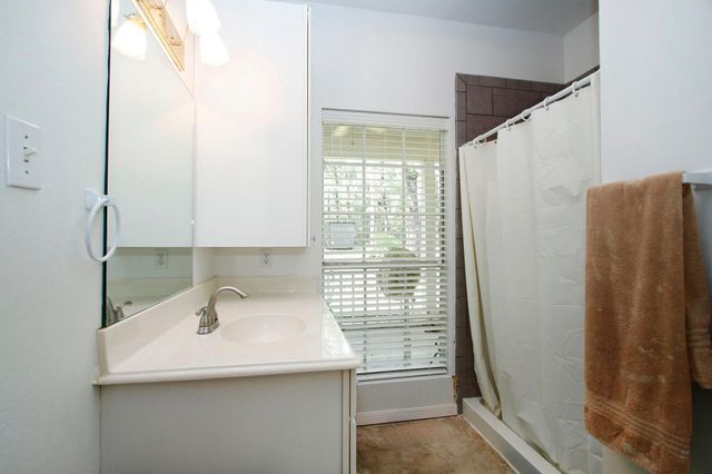 18631 Mink Lake Drive, Magnolia, TX 77355