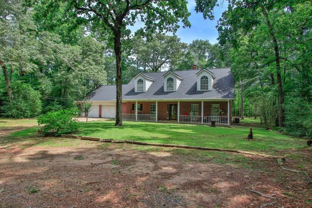 18631 Mink Lake Drive, Magnolia, TX 77355