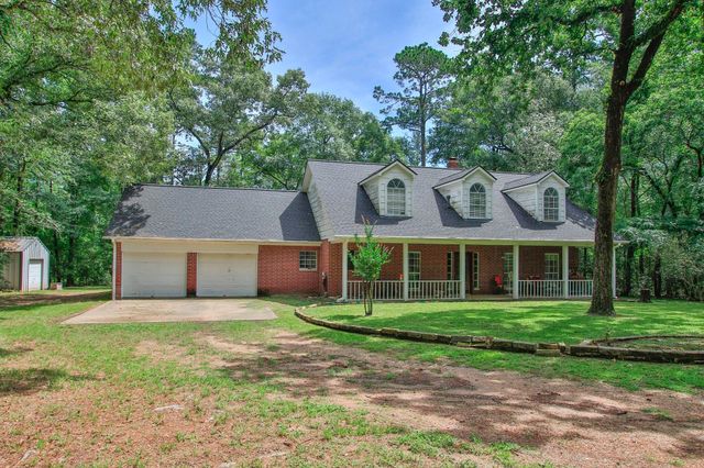 18631 Mink Lake Drive, Magnolia, TX 77355
