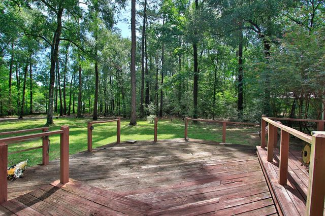 18631 Mink Lake Drive, Magnolia, TX 77355