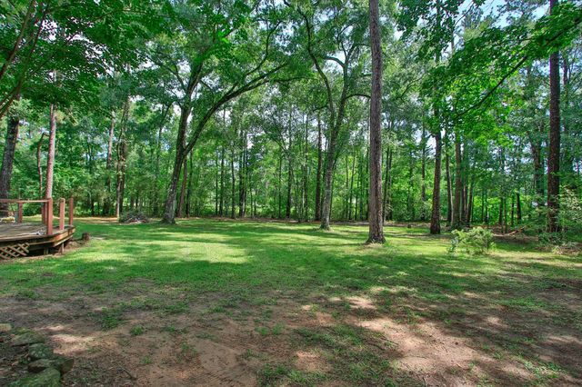 18631 Mink Lake Drive, Magnolia, TX 77355