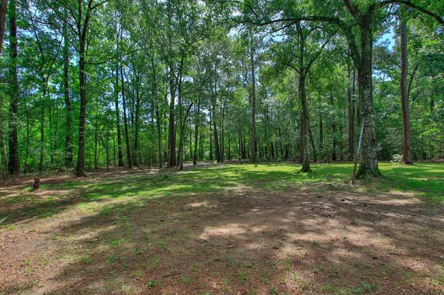 18631 Mink Lake Drive, Magnolia, TX 77355