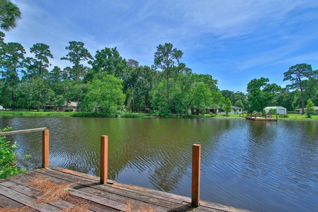 18631 Mink Lake Drive, Magnolia, TX 77355