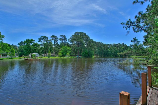 18631 Mink Lake Drive, Magnolia, TX 77355
