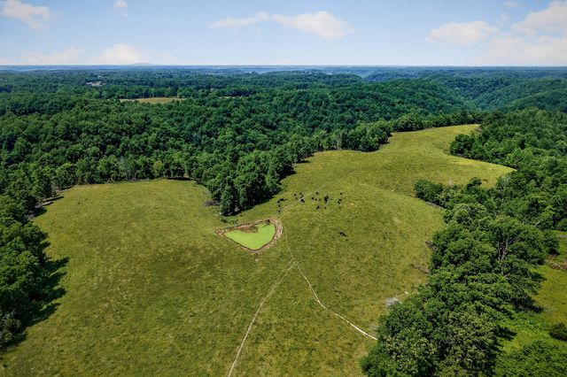8495 Baxter Rd, Baxter, TN 38544