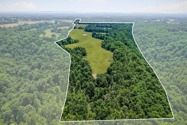8495 Baxter Rd, Baxter, TN 38544