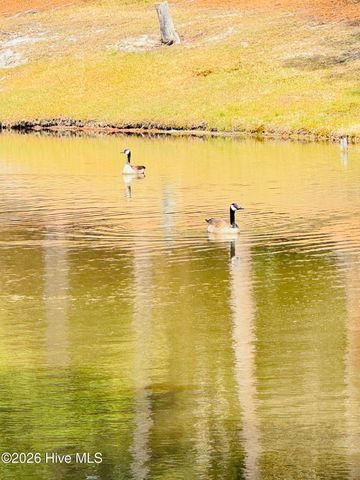 21 La Quinta Loop, Pinehurst, NC 28374