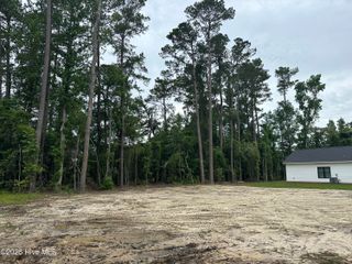 603 N Timberly Lane, Burgaw, NC 28425