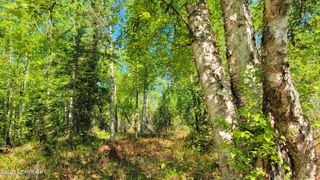8947 W Cormorant Way, Wasilla, AK 99623