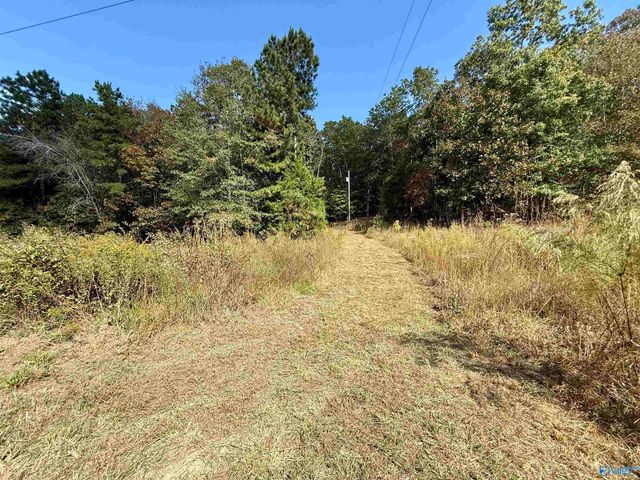 400 County Road 915, Leesburg, AL 35983