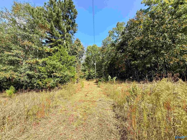 400 County Road 915, Leesburg, AL 35983