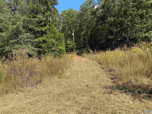 400 County Road 915, Leesburg, AL 35983