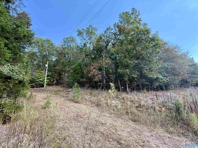 400 County Road 915, Leesburg, AL 35983