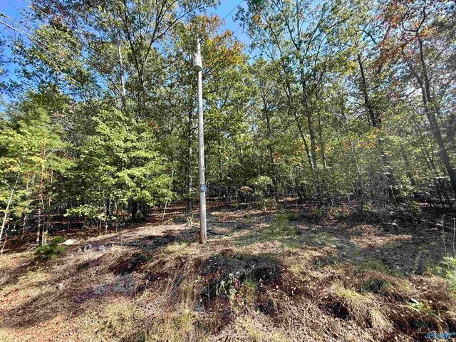 400 County Road 915, Leesburg, AL 35983