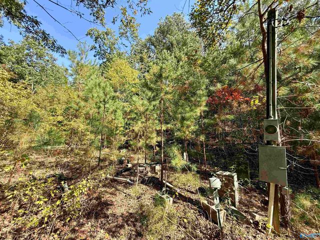 400 County Road 915, Leesburg, AL 35983