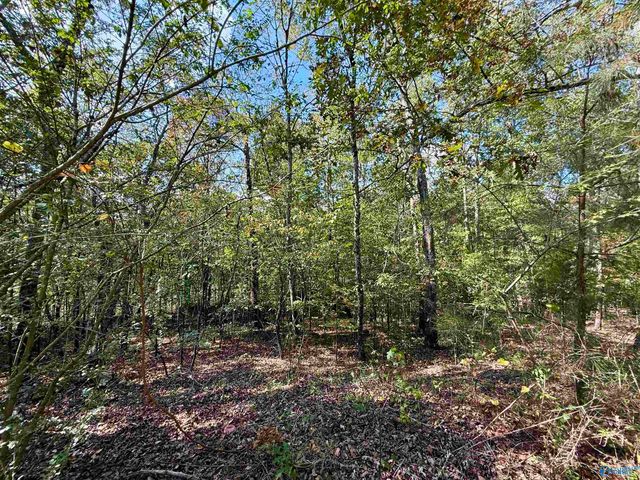 400 County Road 915, Leesburg, AL 35983