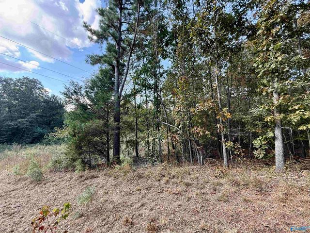 400 County Road 915, Leesburg, AL 35983