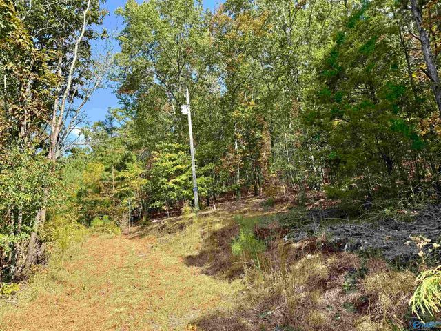 400 County Road 915, Leesburg, AL 35983