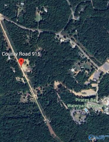 400 County Road 915, Leesburg, AL 35983