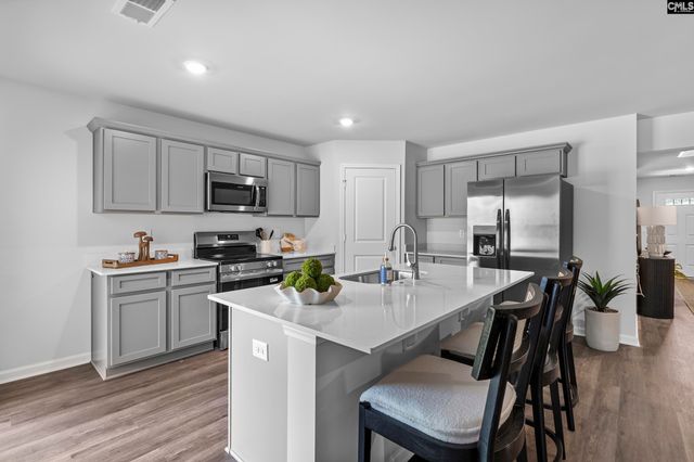 156 Calm Citadel Drive, Pelion, SC 29123