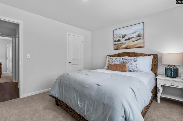 156 Calm Citadel Drive, Pelion, SC 29123