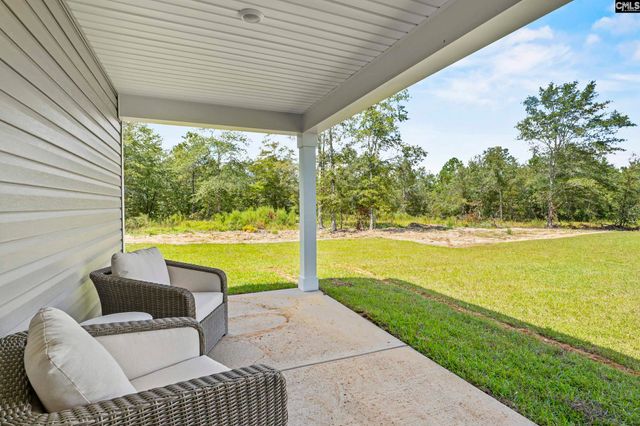 156 Calm Citadel Drive, Pelion, SC 29123