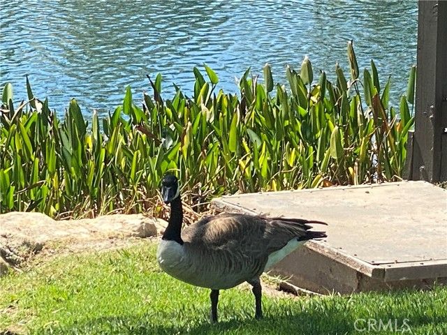 29371 Pinewood, San Juan Capistrano, CA 92675