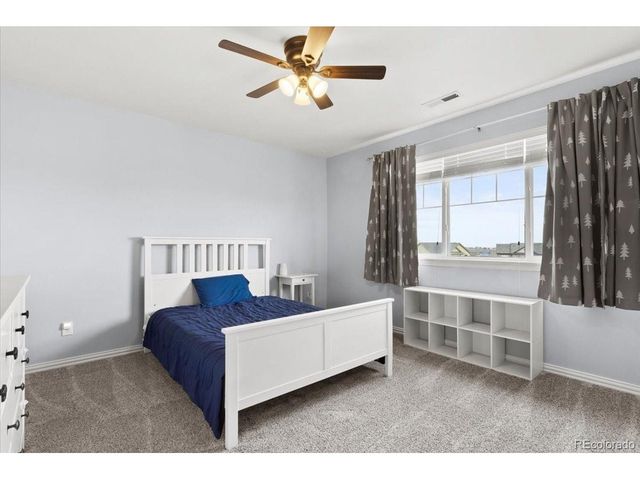 1906 Charbray Pt, Castle Rock, CO 80108