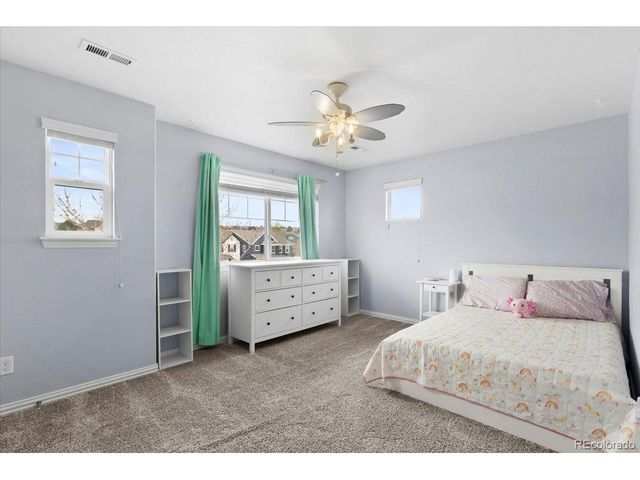 1906 Charbray Pt, Castle Rock, CO 80108